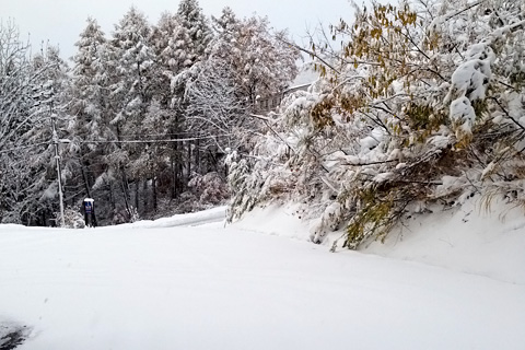 スキー場の雪