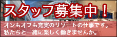 スキー場のホテルの求人